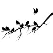 vector image of birds on a branch. silhouette of birds