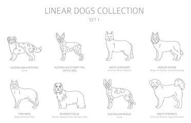 Wall Mural - Simple line dogs collection isolated on white. Dog breeds. Flat style clipart set