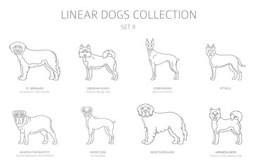 Wall Mural - Simple line dogs collection isolated on white. Dog breeds. Flat style clipart set