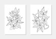 vector heart  lily flower leaf bouquet line art coloring page set