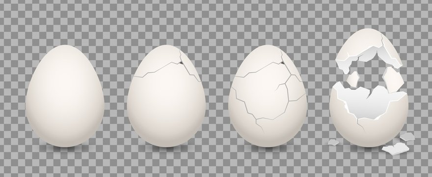 cracked egg. cartoon 3d realistic chicken broken eggs with cracks and smithers. vector illustration 