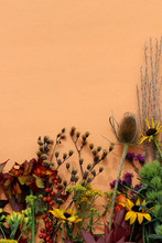 Vertical Flat Lay Of Fall-colored Leaves, Seedheads, And Flowers On Orange Background, With Copy Space