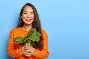 Delighted brunette Korean woman holds green bok choy delivered from farm, wears orange sweater, keeps to healthy nutrition, uses vegetable for making vegetarian salad, poses over blue background