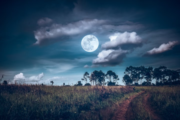 Wall Mural - landscape of dark night sky with clouds. beautiful bright full moon above wilderness area in forest.