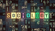 © jdrv - The word Sociology as neon glowing unique typeset symbols, luminous letters sociology