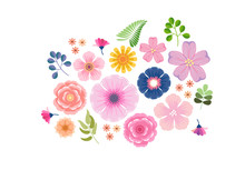 Colorful Floral Flower Blooming Vector