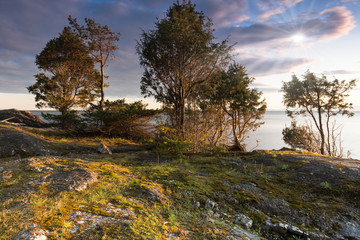 Wall Mural - coastal scenics of magical rocky beaches and sunsets within a temperate rain forest on bowen island 