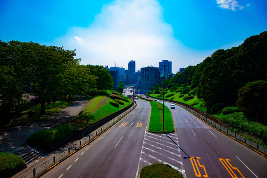 A green street near Yoyogi park in Tokyo daytime wide shot