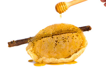 Wall Mural - Dipper in puddle of honey and honeycomb on white background