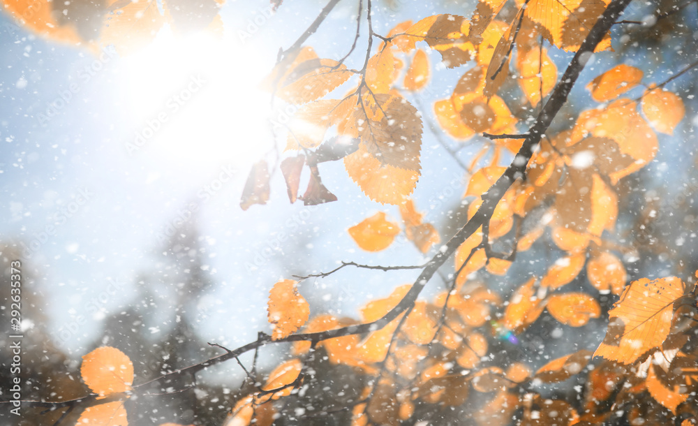 Autumn park in the first snow Stock Photo | Adobe Stock