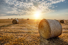 Harvested Field With Straw Bales In Sunset, Agriculture Farming Concept, Czech Republic, Europe