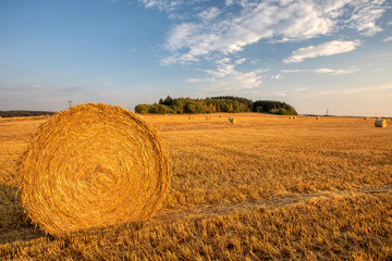 harvested field with straw bales in sunset, agriculture farming concept, Czech Republic, Europe