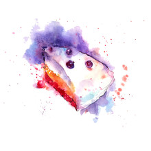 Wildberry Cake, Sweet Berry Cheesecake, Slice Of Pie, Pastry Dessert. Watercolor Illustration Sketch With Splashes On White Background