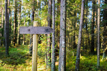Wooden Hiking Trail Sign In Estonian Forest At Sunny Autumn Day