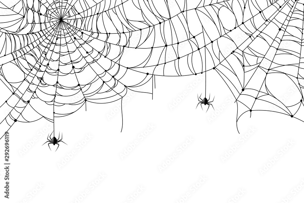Cobweb background. Scary spider web with spooky spider, creepy arthropod halloween decor, net texture tattoo design vector template - obrazy, fototapety, plakaty 