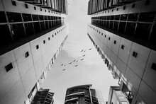 Low Angle Greyscale Shot Of Tall Buildings In A City With Birds Flying In The Sky