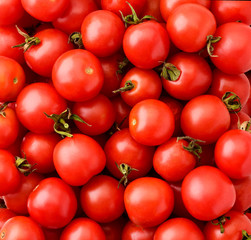 Wall Mural - Ripe cherry tomatoes background. The view of the top.