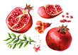 Ffresh ripe whole and cut pomegranate with seeds, flower and leaves set. Watercolor hand drawn illustration, isolated on white background