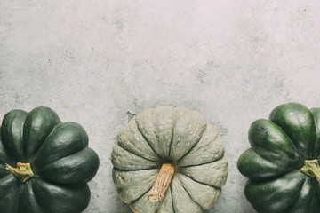 Wall Mural - big green ripe pumpkins on grey background