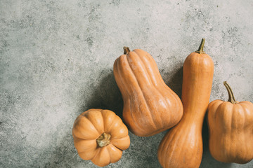 Wall Mural - delicious orange pumpkins for cooking