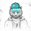 © annbozhko - Hipster animal bear dressed in cap like rapper. Hand drawing Muzzle of bear