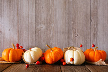 Autumn Border Of Orange And White Pumpkins And Berries. Side View Against A Rustic Gray Wood Background With Copy Space.