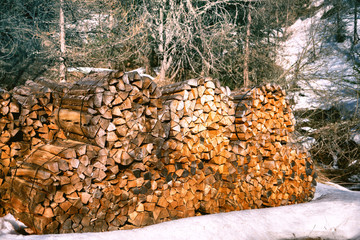 Wall Mural - Winter forest landscape with log stacks