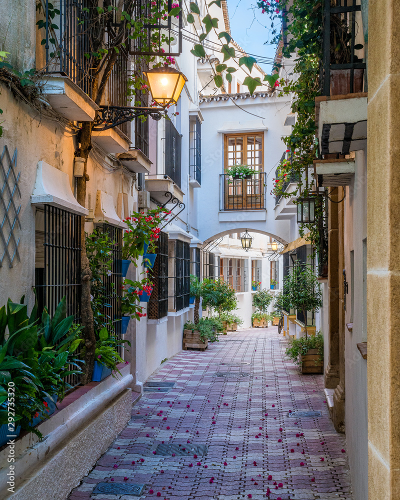 A picturesque and narrow street in Marbella old town, province of Malaga,  Andalusia, Spain. Stock Photo | Adobe Stock, image size:800x1000