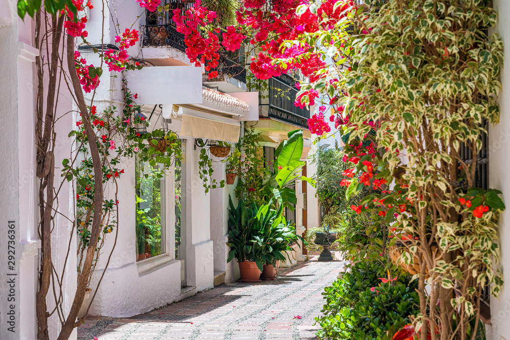 A picturesque and narrow street in Marbella old town, province of Malaga, Andalusia, Spain. - obrazy, fototapety, plakaty 