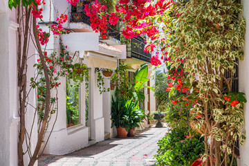 A picturesque and narrow street in Marbella old town, province of Malaga, Andalusia, Spain.