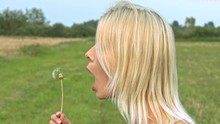 Profile Side View Of Young Woman Blowing Dandelion Seeds In A Field Meadow
