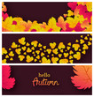 © dniprodd - Autumn banners with autumn leaves