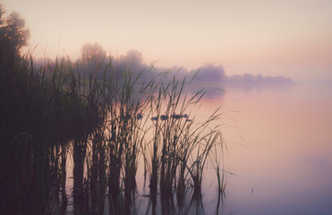 Wall Mural - Misty Autumn Morning over the tranquil lake in New England