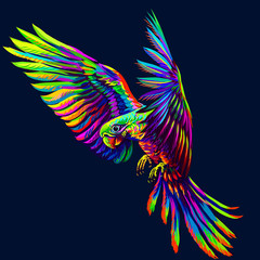 Wall Mural - Portrait of a macaw parrot in flight. Abstract, multi-colored image on a dark blue background.