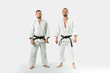 © Maygutyak - Two caucasian men posing before having a practice of aikido (isolation path included)