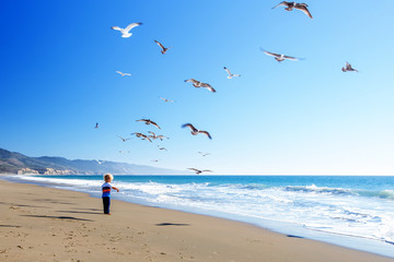 Wall Mural - Happy and free boy on the beach with seagulls