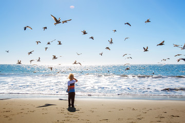 Wall Mural - Happy and free boy on the beach with seagulls