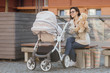 © Тарас Нагирняк - Mother walking with hewborn baby in stroller, woman holding teddy bear and spend time funny.