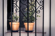 Potted flowers on window behind grating
