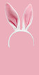 Furry pink Easter Bunny ears isolated on a pink background.