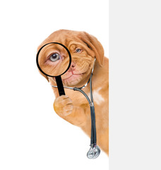 Aufkleber - Smiling puppy with a stethoscope on his neck  looks through a magnifying lens behind empty banner. Isolated on white background
