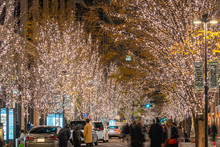 Tokyo Marunouchi Winter Illumination Festival, Famous Romantic Light Up Events In The City, Beautiful View, Popular Tourist Attractions, Travel Destinations For Holiday, Japan