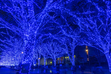 Shibuya Blue Cave winter illumination festival, beautiful view, popular tourist attractions, travel destinations for holiday, famous romantic light up events in Tokyo city, Japan