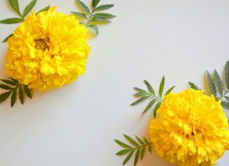 bouquet of flowers isolated on white background