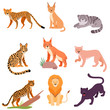 Set of different wild cats. Vector illustration on a white background.