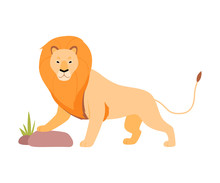 Lion Stands Near A Stone. Vector Illustration On A White Background.