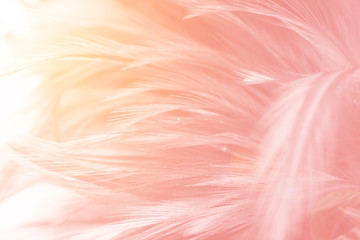 Naklejka flamingo ptak wzór koral