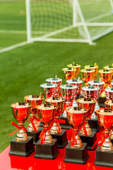 Soccer or Football Trophy on the Field with Goalpost as the Background