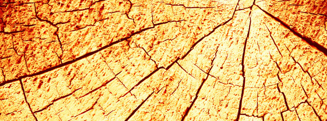 Fotomurales - Abstract texture with cracks. Old uneven surface.