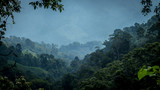 Vue sur la jungle colombienne